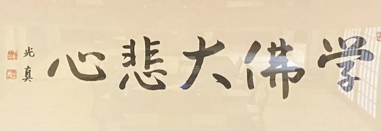 学佛大非心
