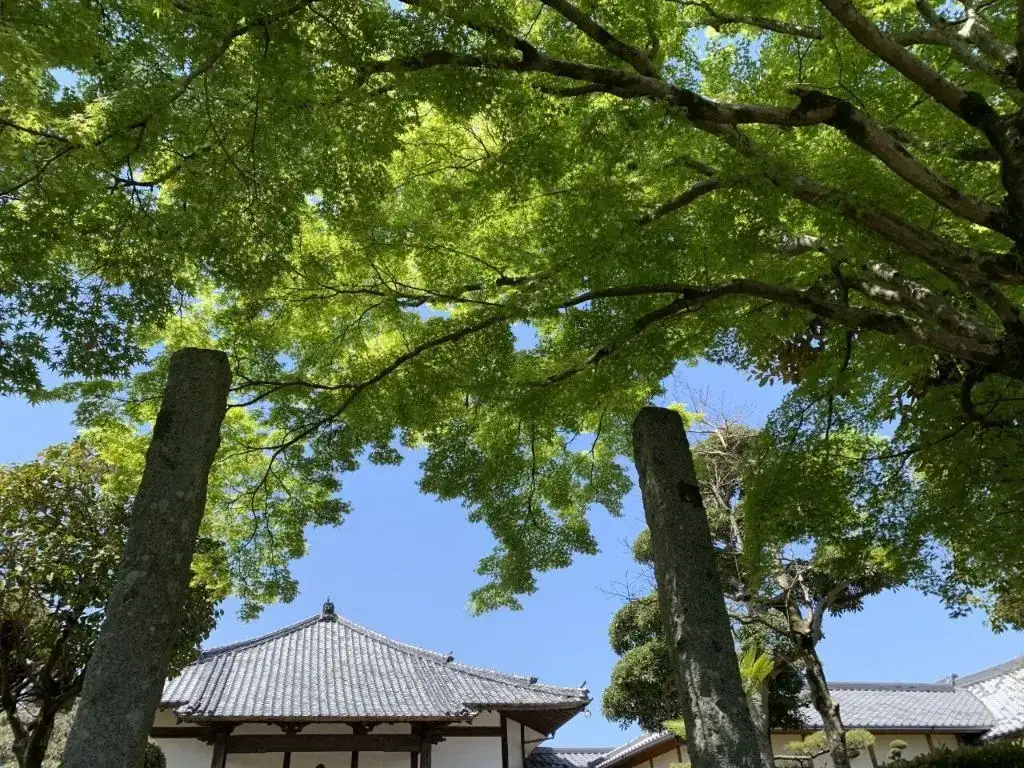 開寺以降の歴史の画像